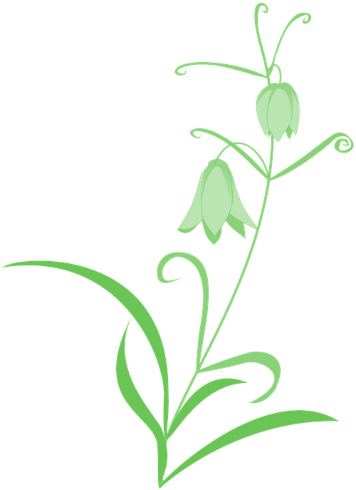 Fritillaria, Lily, Green, Flowers, Simple - Green Flowers Transparent (540x720), Png Download