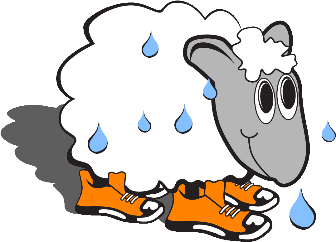 Team Sweaty Sheep - Sweaty Sheep (1132x804), Png Download