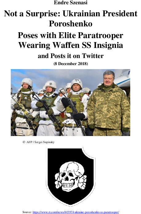 Pdf - Ukraine President Paratroopers (595x842), Png Download