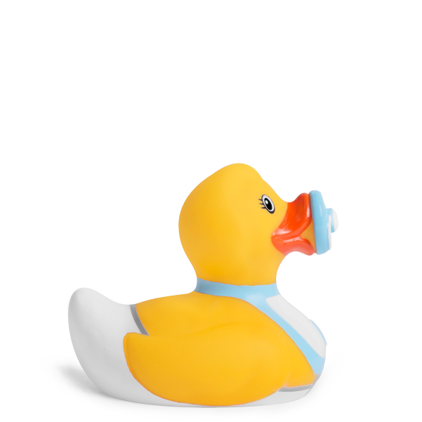 Duck (760x600), Png Download