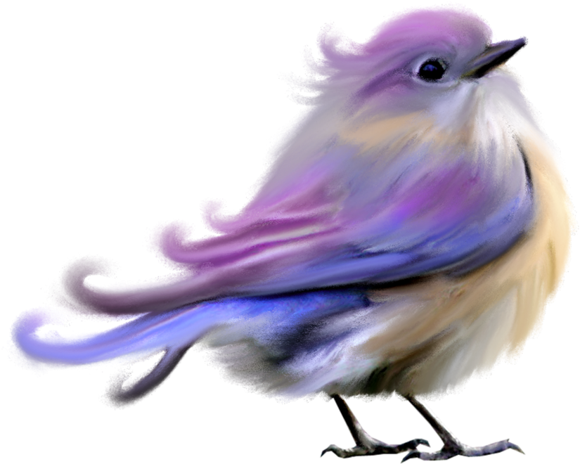 Изображение Для Плейкаста - Beautiful Bird Png (1024x1024), Png Download