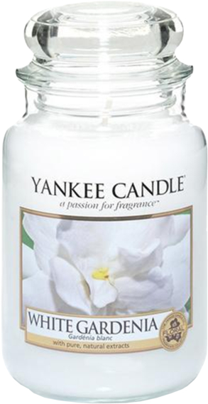 Yankee White Gardenia Candle Classic Jar Yankee Candle Amazon Full Size Png Download Seekpng