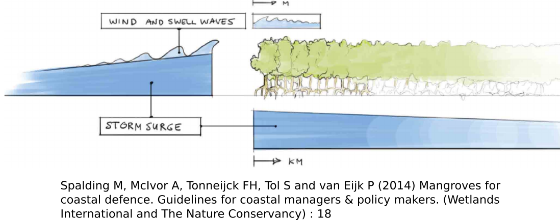 A 2014 Review Of All Existing Research Into The Role - Diagram (1098x432), Png Download