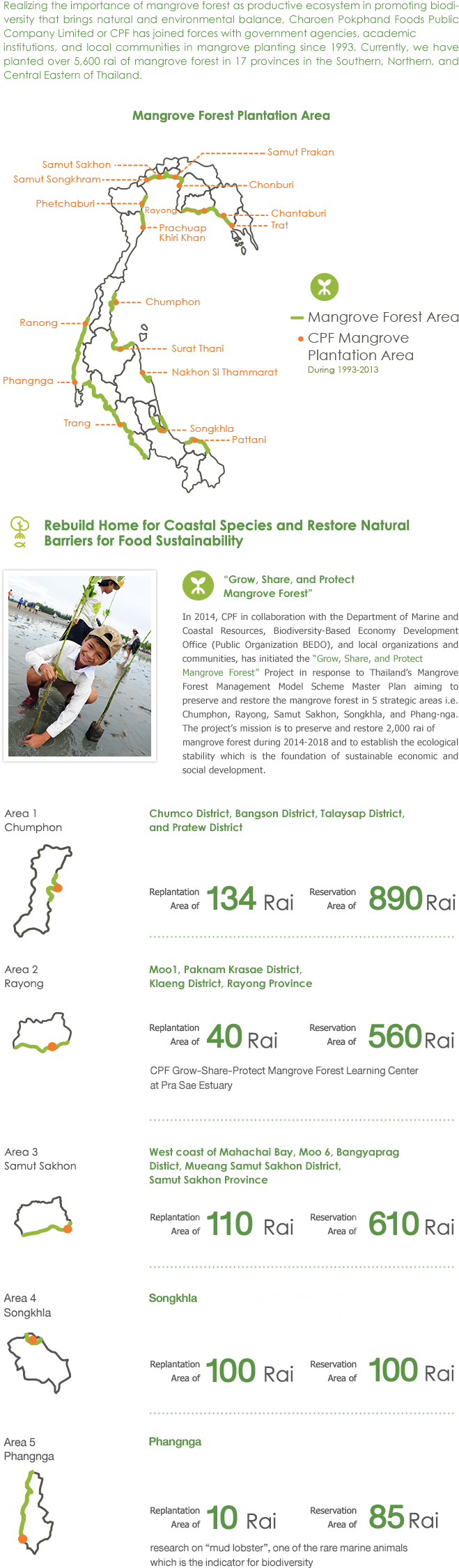 Our Determination - Tennis (659x2262), Png Download