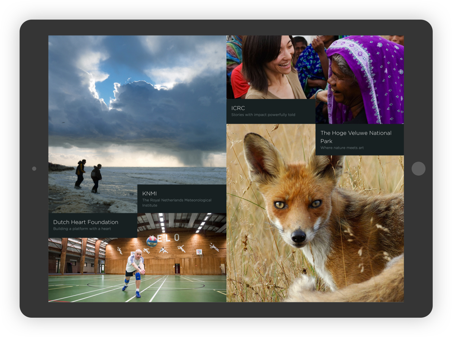 Mangrove-grid - Tablet Computer (1594x1237), Png Download