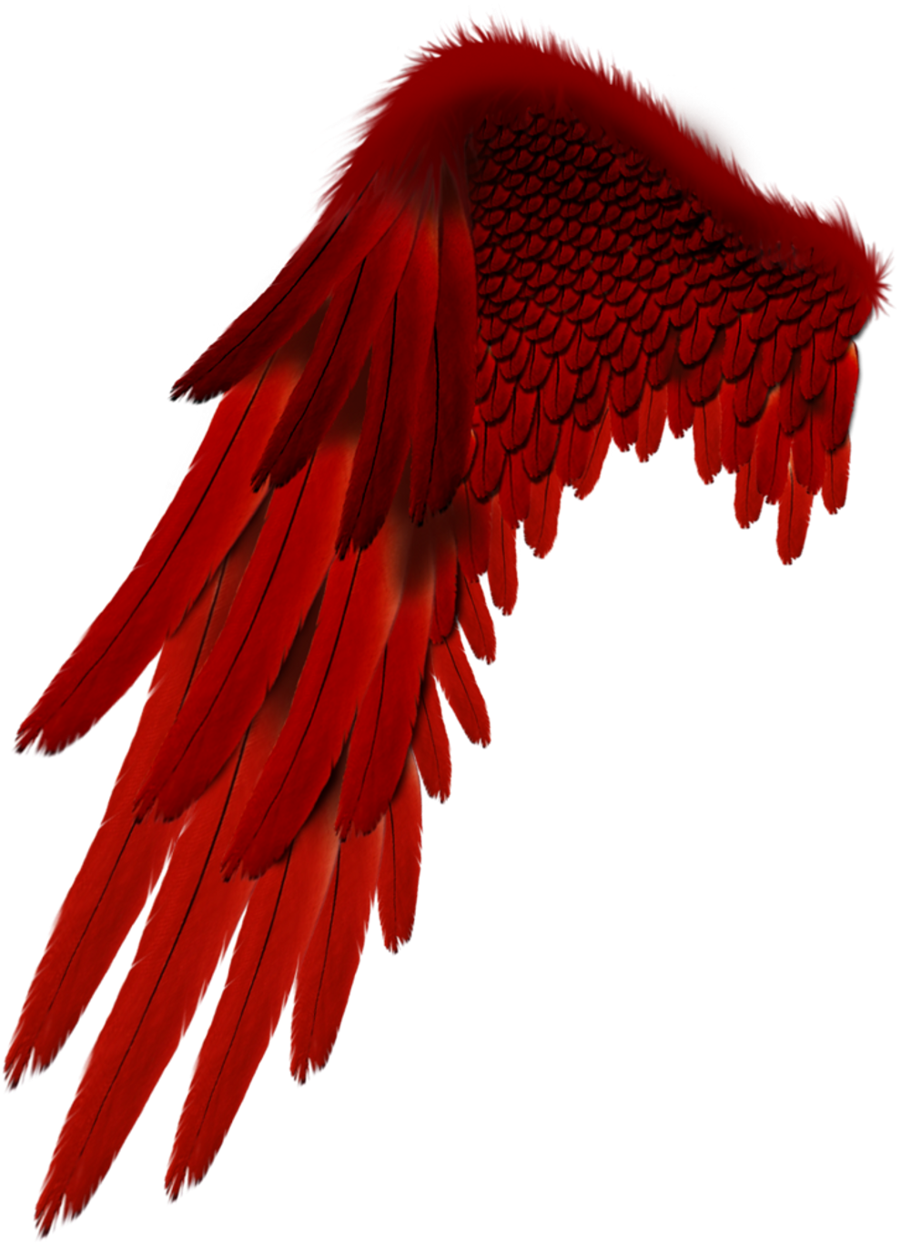 Report Abuse - Devil Wings For Picsart Editing (1024x1398), Png Download