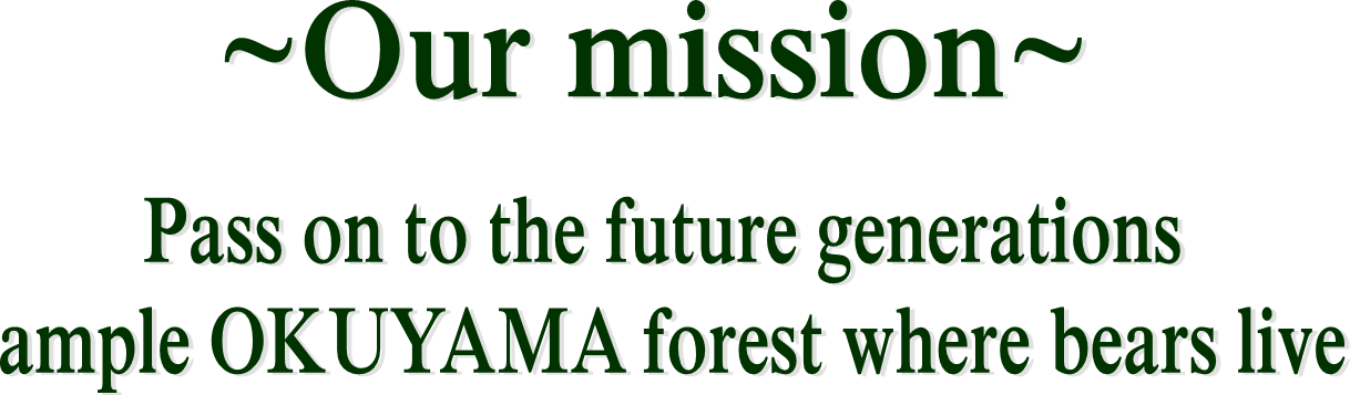 Sign The Petition Now, Hyogo Prefecture Is Lifting - Calligraphy (1218x357), Png Download