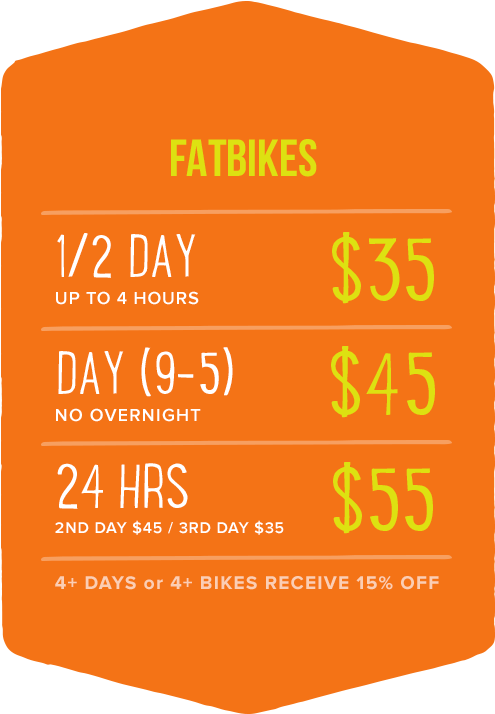 Mcs Rentals Prices Fatbikes - Harry Styles Facebook Cover (500x725), Png Download