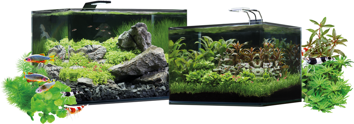 Discover The World Of Aquaristics In A Special Way - Dennerle 55l Scapers Tank (1154x404), Png Download