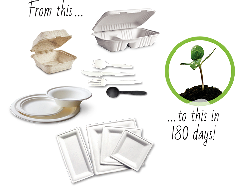 Green Wave Believes A Greener Planet Is A Healthier - Paper (976x840), Png Download