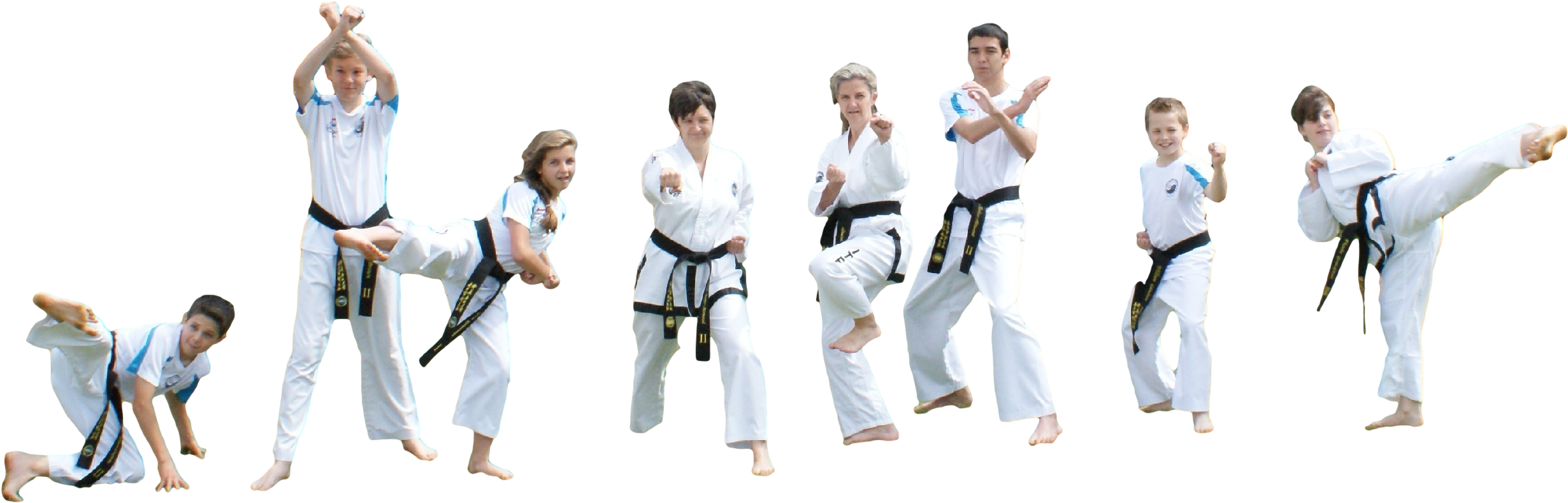 Leadership Team - Karate Group Png (2508x939), Png Download