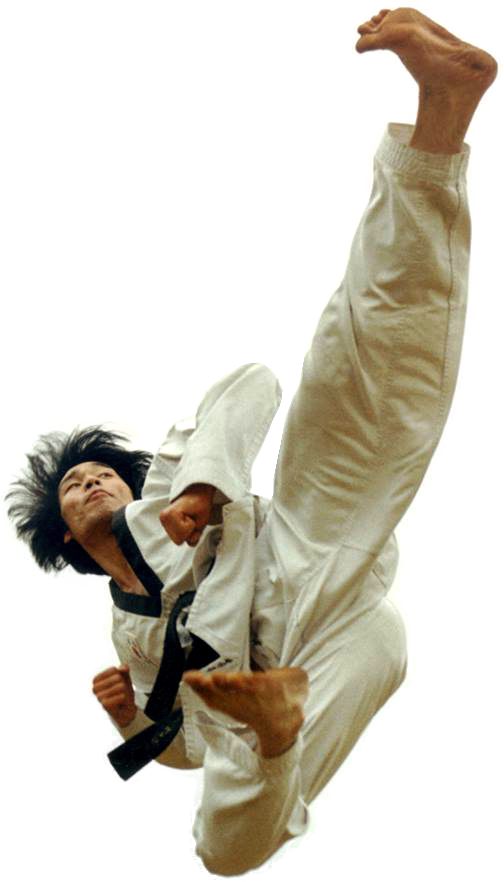 What Is Taekwondo - Brazilian Jiu-jitsu (504x882), Png Download