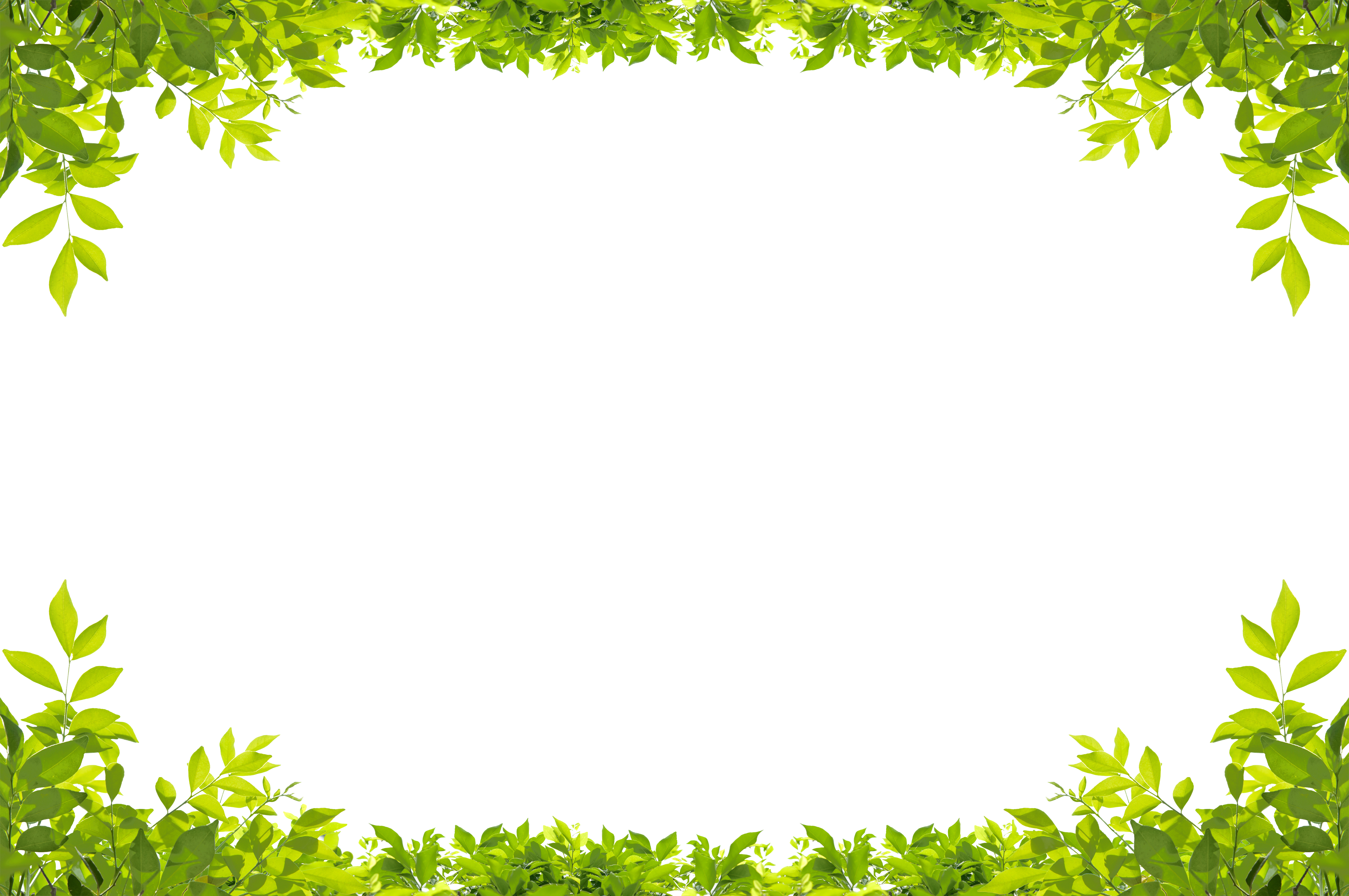 Leaf Border Png (8576x5696), Png Download