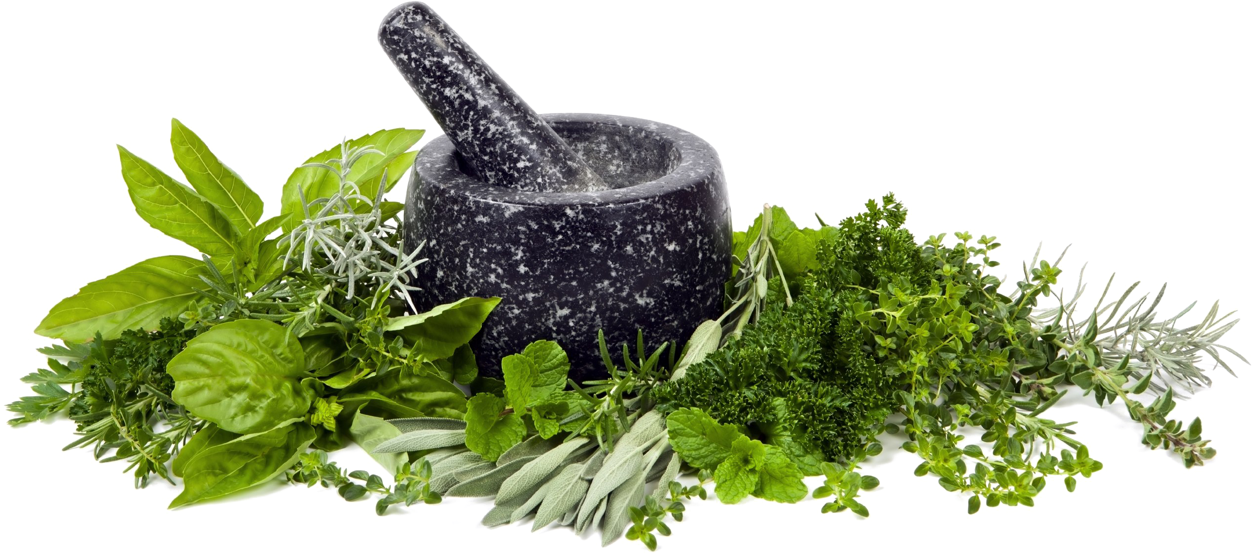 Mortar Transparent Background - Herbs Png Transparent (2716x1339), Png Download