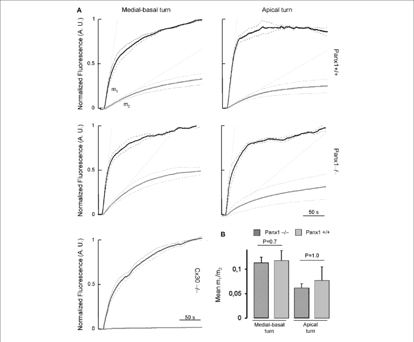 Lucifer Yellow Fluorescence Emission Averaged Over - Diagram (850x703), Png Download
