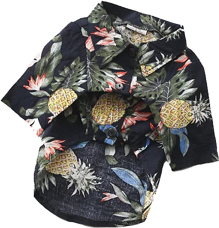 Ropa Oara Primavera Perros (600x600), Png Download