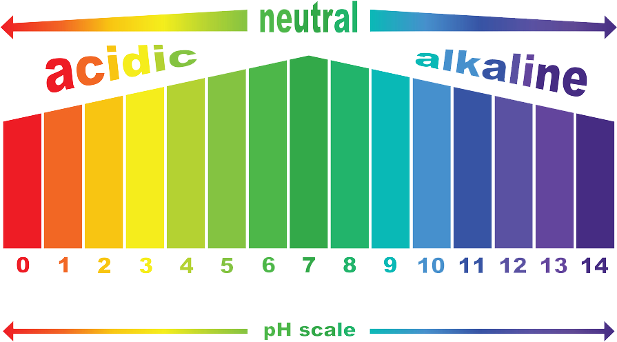 Alkaline Water Generally Has A Ph Level Between 7 And - Ph Scale Unlabeled (934x544), Png Download