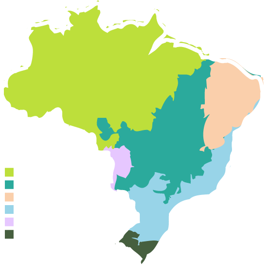 Biomasbrasileiros - Regiões Do Brasil Mapa (546x563), Png Download