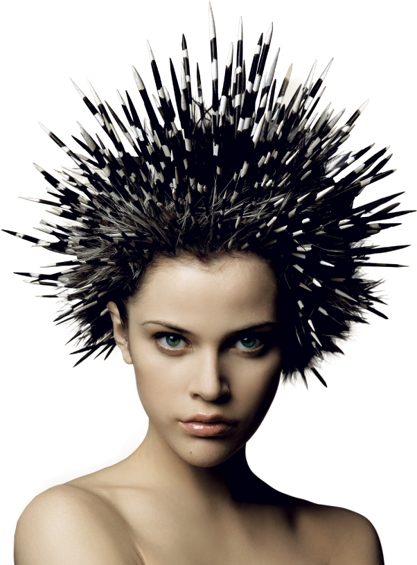 Istrice Homepage Mobile - Hair Punk Png (696x843), Png Download