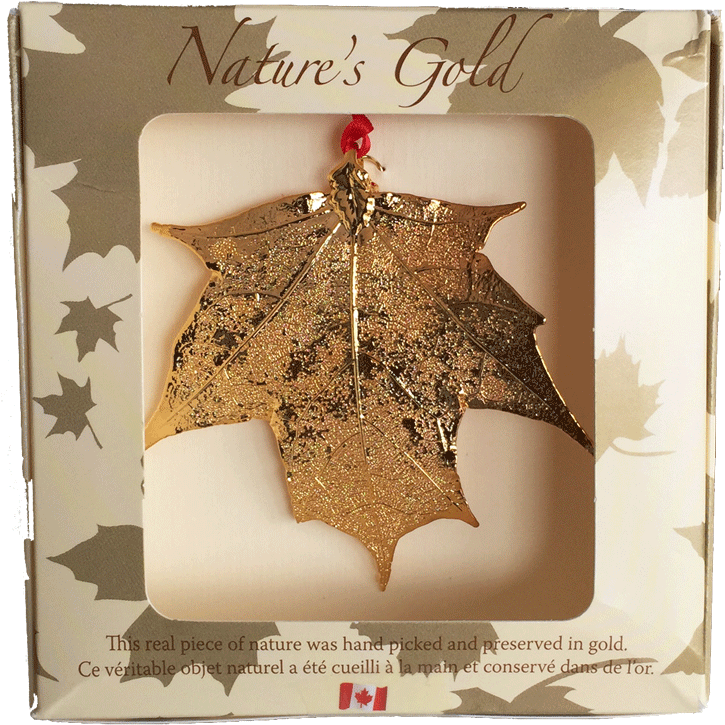 Maple Leaf (800x800), Png Download