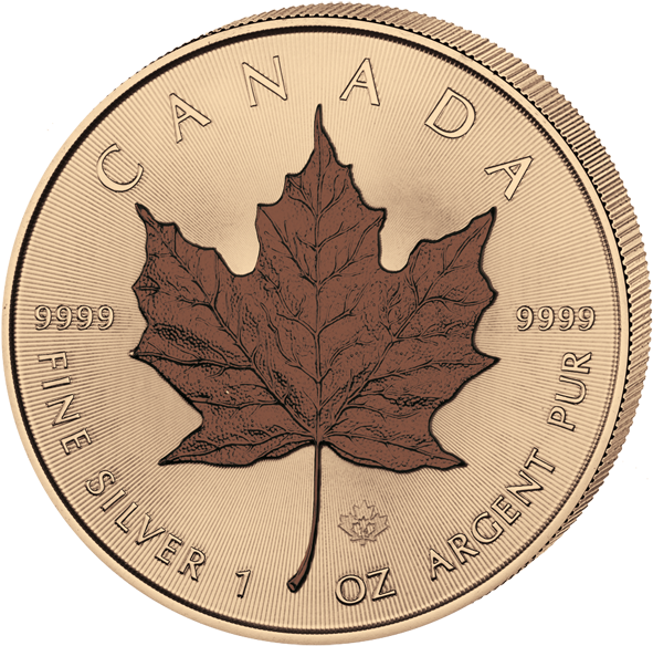 Four Seasons Set - Maple Leaf (600x600), Png Download