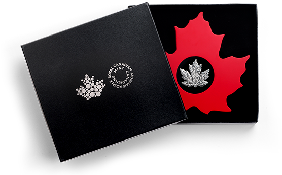 Picture Of - Maple Leaf (570x570), Png Download