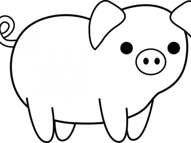 Sun Clipart Black And White - White Pig In Black Background (640x480), Png Download