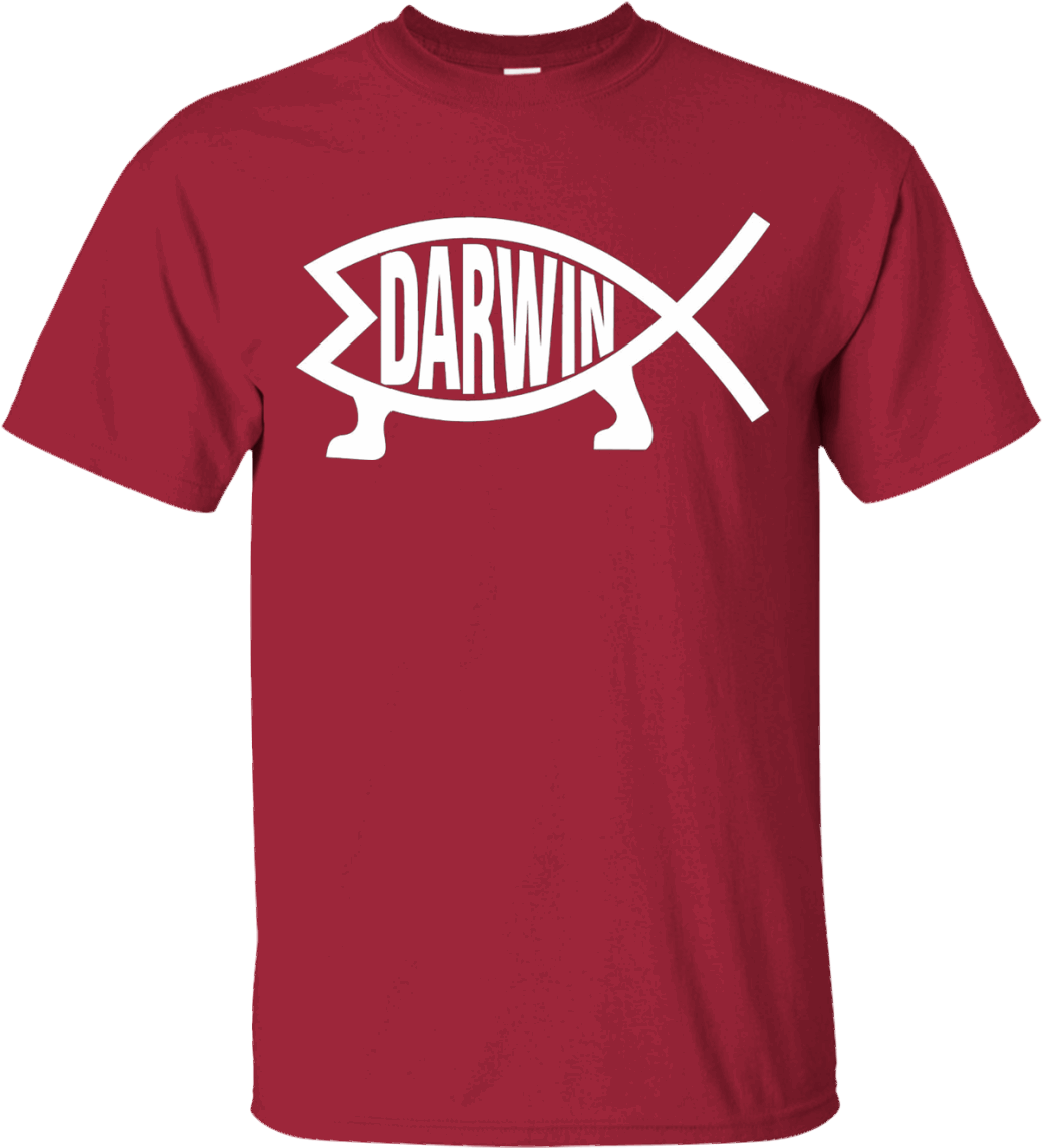 Darwin Ichthus Fish Christian Shirt Evolution Science - Culver's Apparel (1155x1155), Png Download