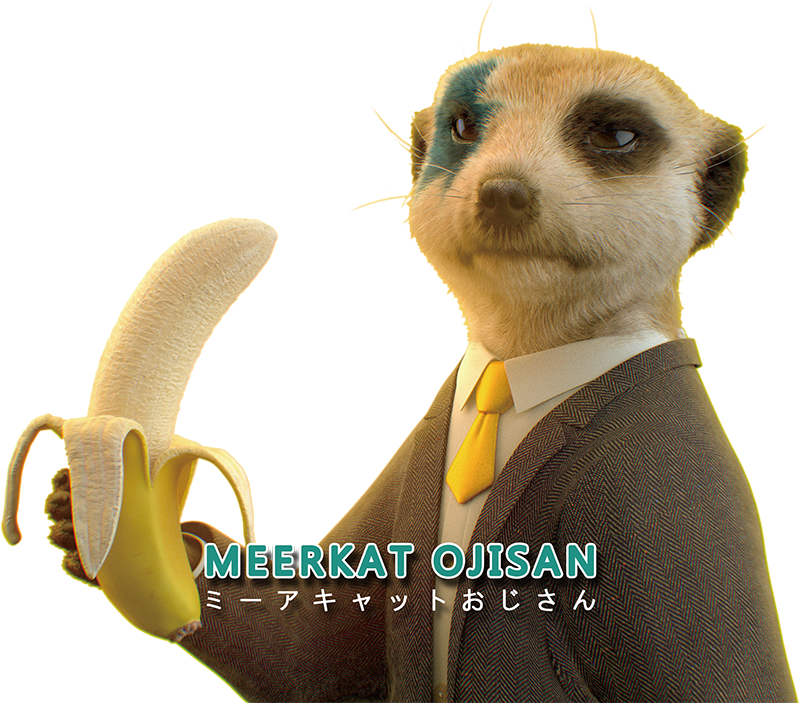Meerkat (800x703), Png Download