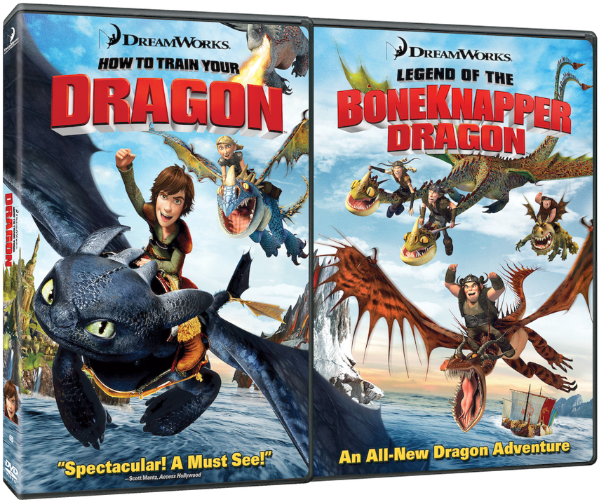 Dreamworks Animation - Train Your Dragon Dvd Es (1035x800), Png Download
