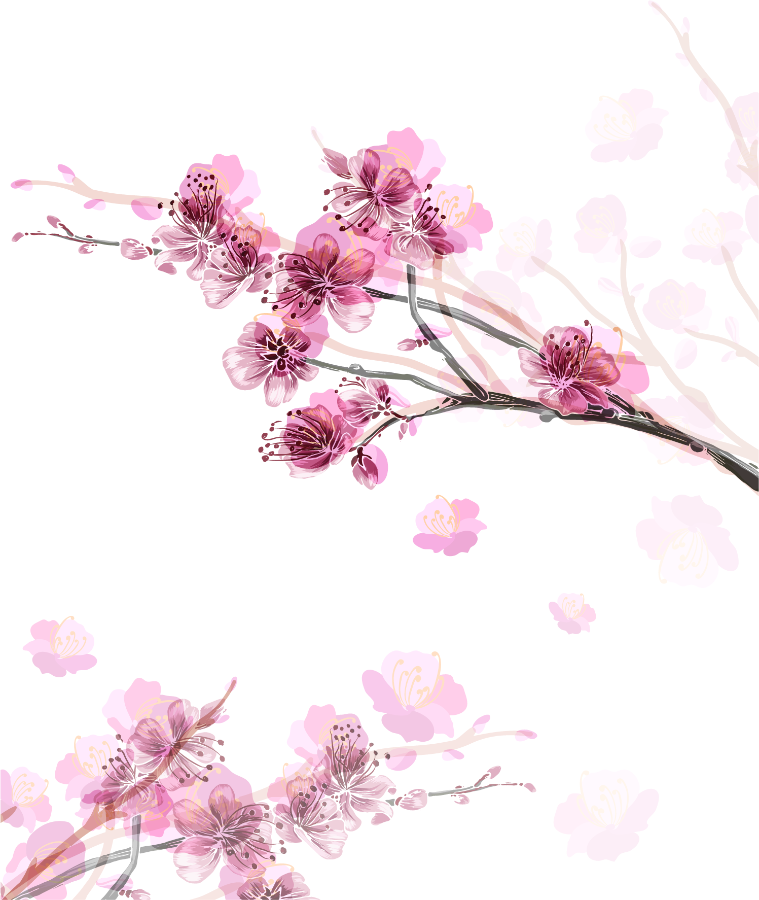 Png Royalty Free Library Paper Cherry Blossom Flower - Florals Png Cherry Blossom (1500x1836), Png Download