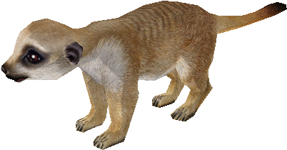 Download Zip Archive - Meerkat (750x650), Png Download