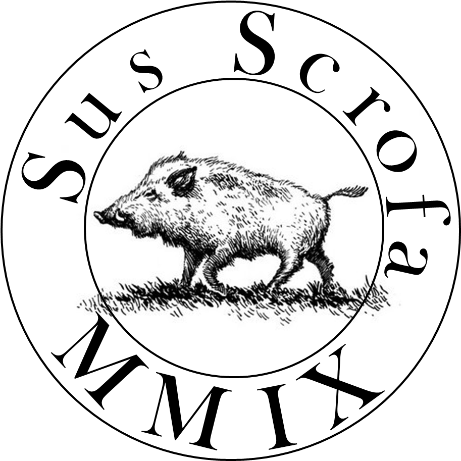 Wild Boar Drawing (1159x1103), Png Download