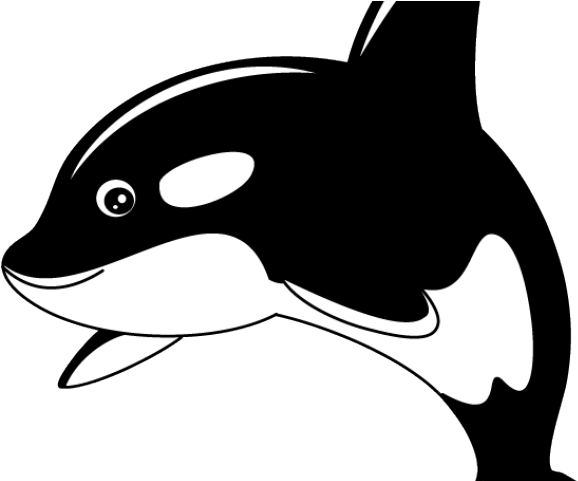 Sperm Whale Clipart Transparent - Killer Whale Cartoon Png (640x480), Png Download