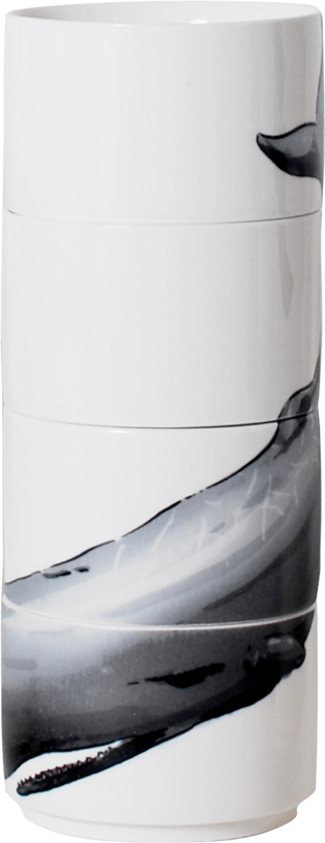 Beluga Whale (1200x1200), Png Download