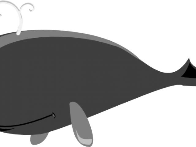 Sperm Whale Clipart Transparent - Killer Whale (640x480), Png Download