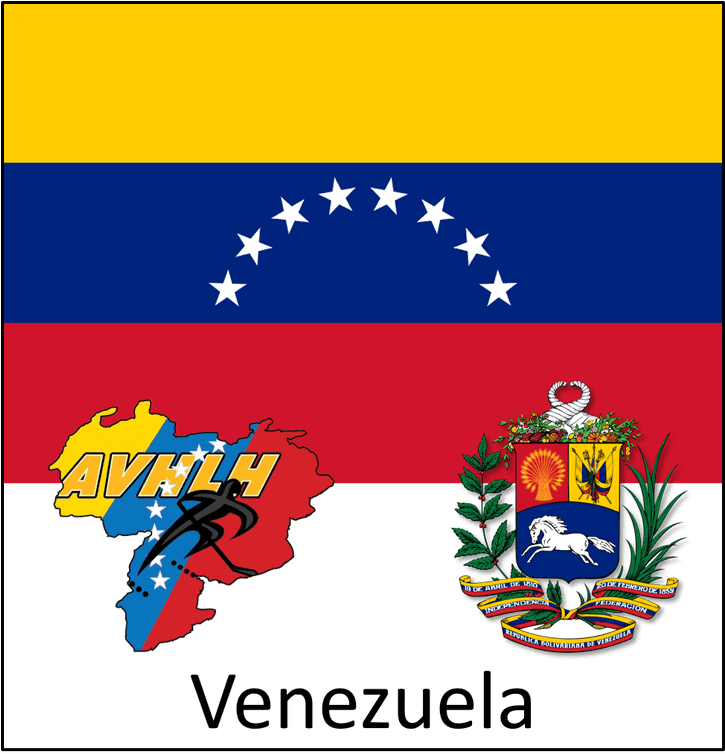 Bolivarian Republic Of Venezuela [república Bolivariana - Venezuela Flag 2014 (724x800), Png Download