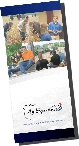 Included In These Programs Are - Banner (408x934), Png Download