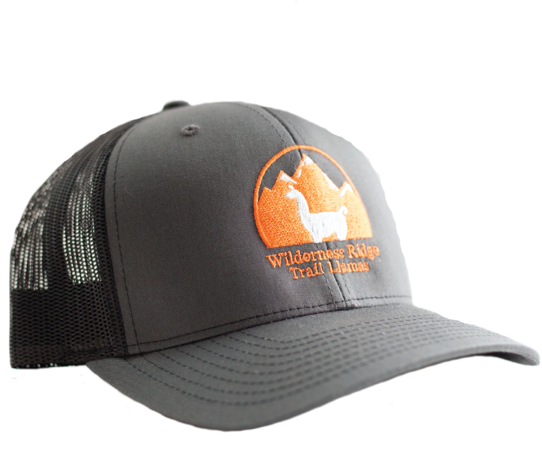 Wrtl Charcoal Trucker Hat - Baseball Cap (800x800), Png Download