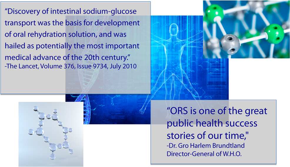 Science - Role Of Glucose In Ors (1000x625), Png Download