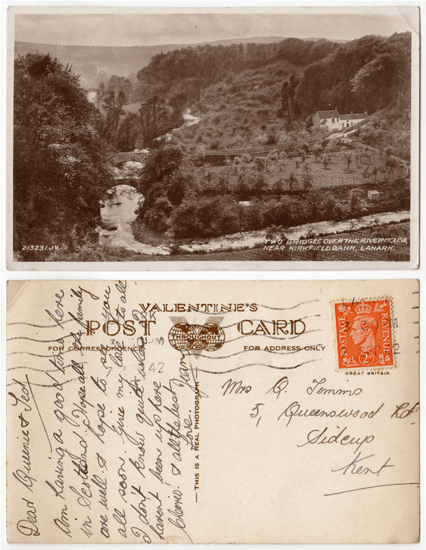 Two - Tree (800x800), Png Download