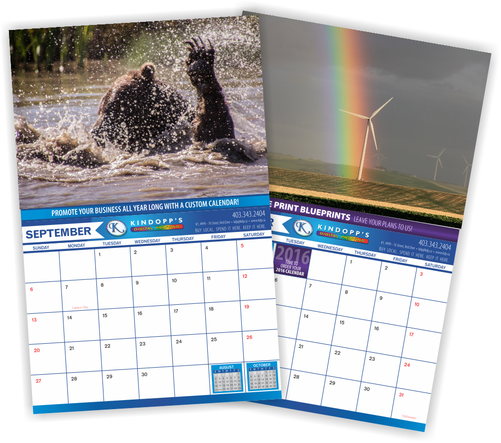 < Click Image To Enlarge > - Ostrich (1003x888), Png Download