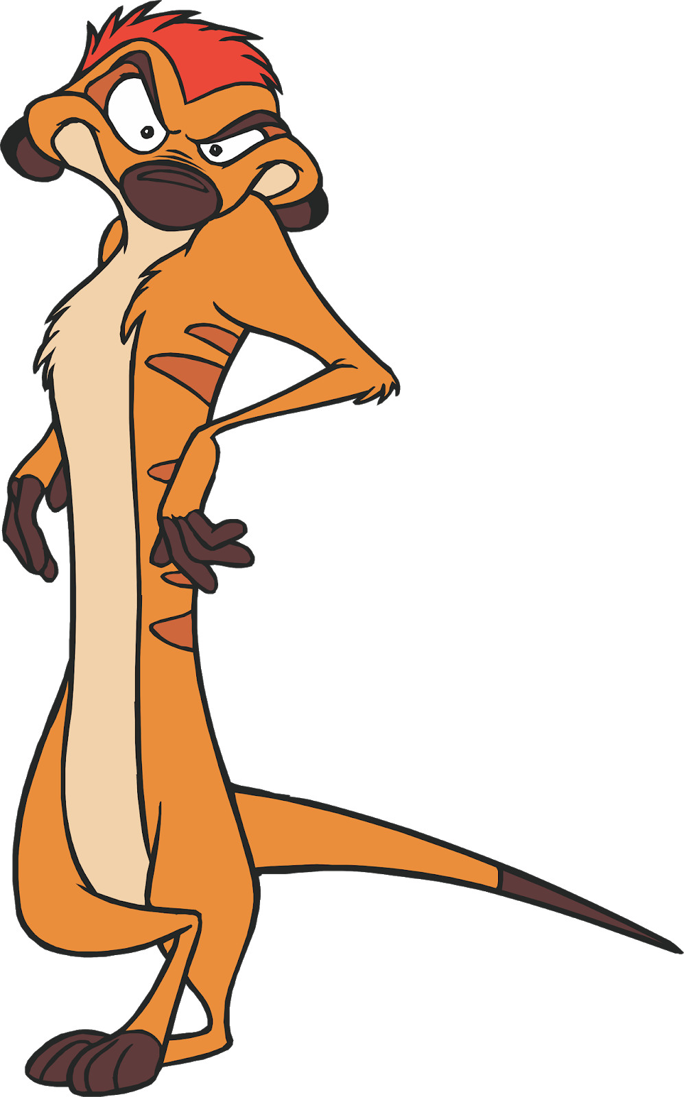 Timon And Pumbaa Cartoon Character, Timon And Pumbaa - Lion King Cartoon Character (997x1600), Png Download