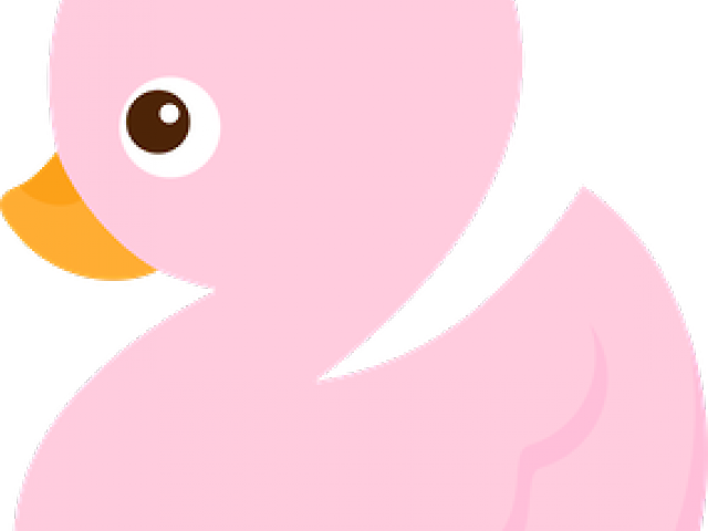Baby Duck Cliparts - Cartoon (640x480), Png Download