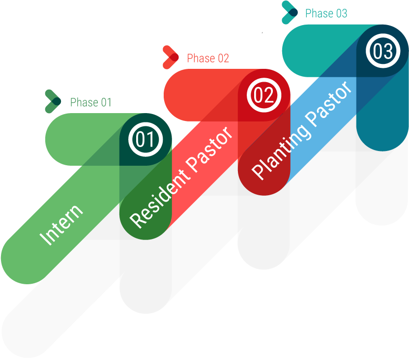 Ldr-phases 03 - Training Phases (837x736), Png Download