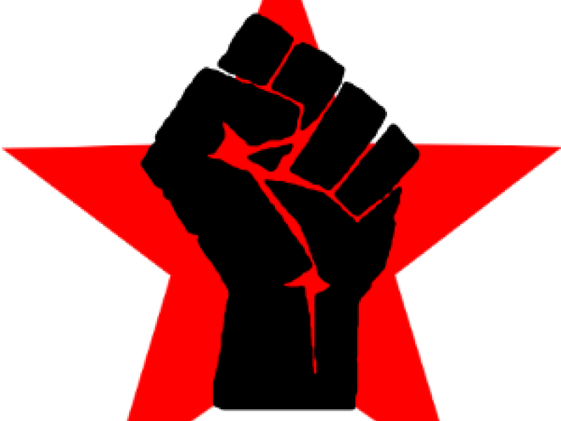 Raised Fist Black Power Logo - United We Stand Divided We Fall Teamsters (800x600), Png Download
