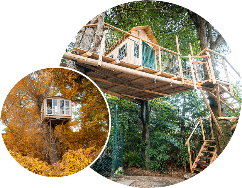 Treehouses - Tree (850x650), Png Download