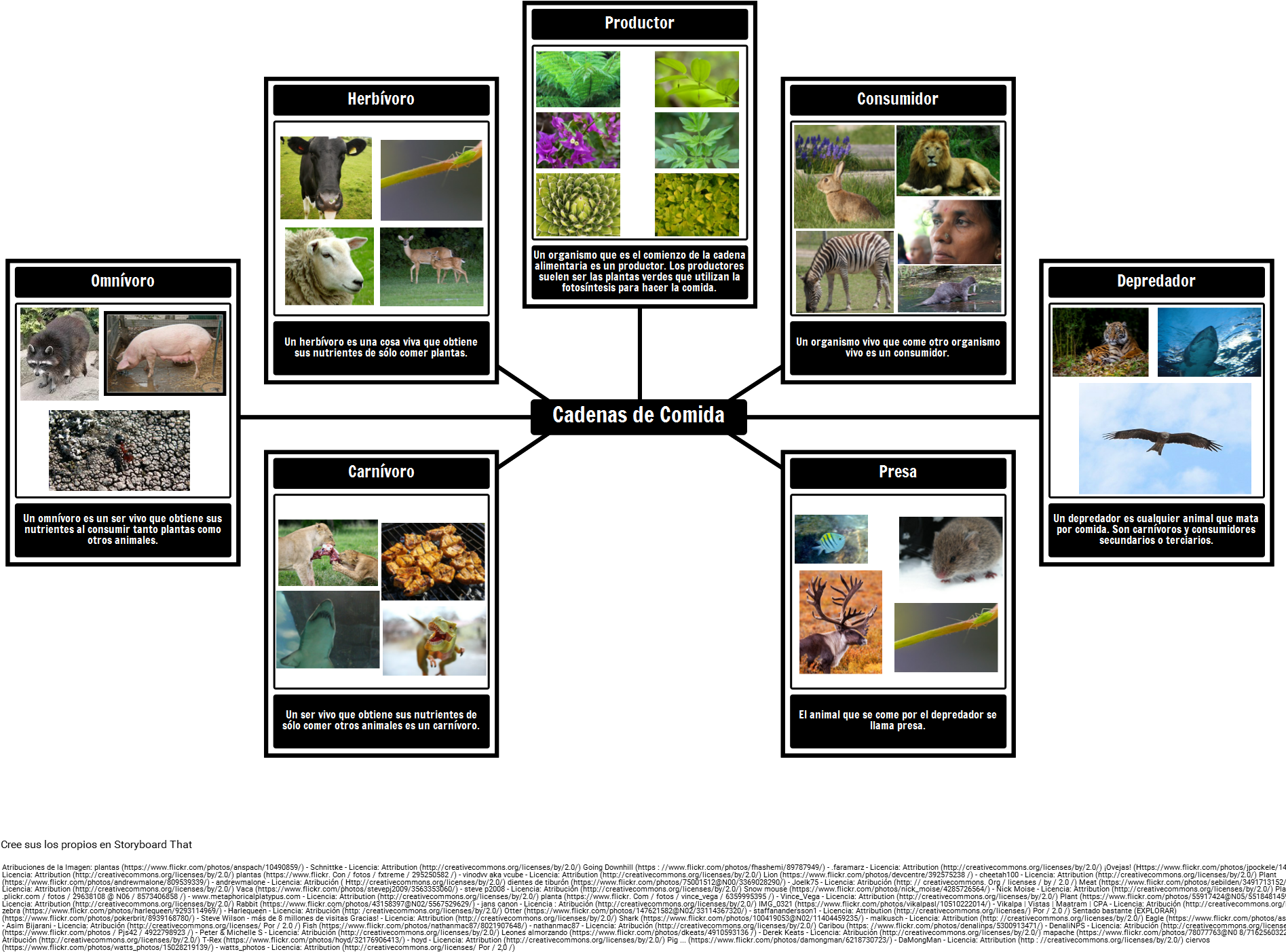 Vocabulario De La Cadena Alimentaria - صور السلسله الغذائيه البحرية (1904x1613), Png Download