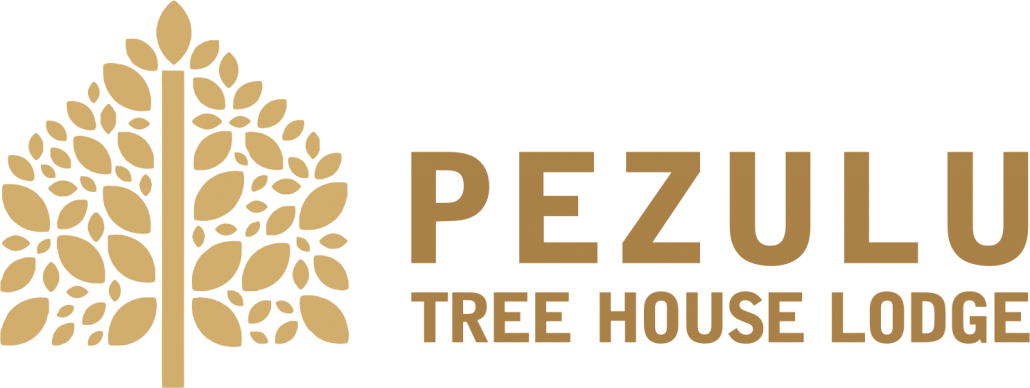 Pezulu Tree House Lodge - Pezulu Tree House Logo (1030x388), Png Download