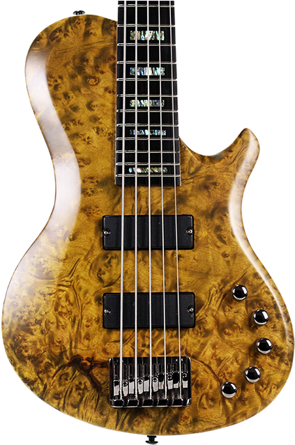 2018 10s Bh Camphor Burl&5p Flame Maple 5 String Electric - Bass Guitar (1000x667), Png Download